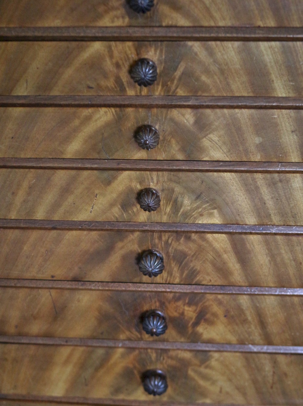 19C Mahogany Collectors Chest on Cupboard View V