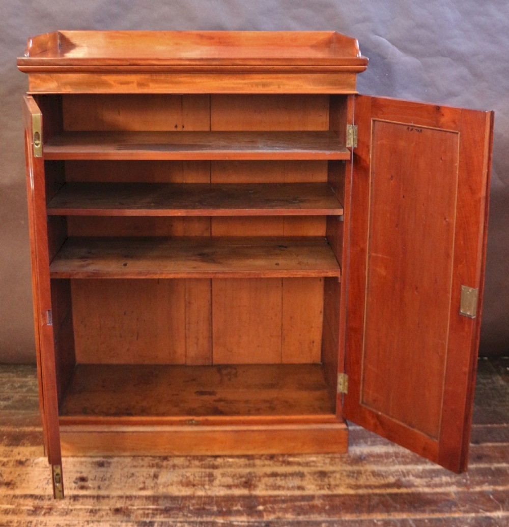 A 19th-century Victorian mahogany two-door cupboard featuring arched panel doors, rich flame veneer patterns, a low rear gallery top, and a solid plinth base. View III
