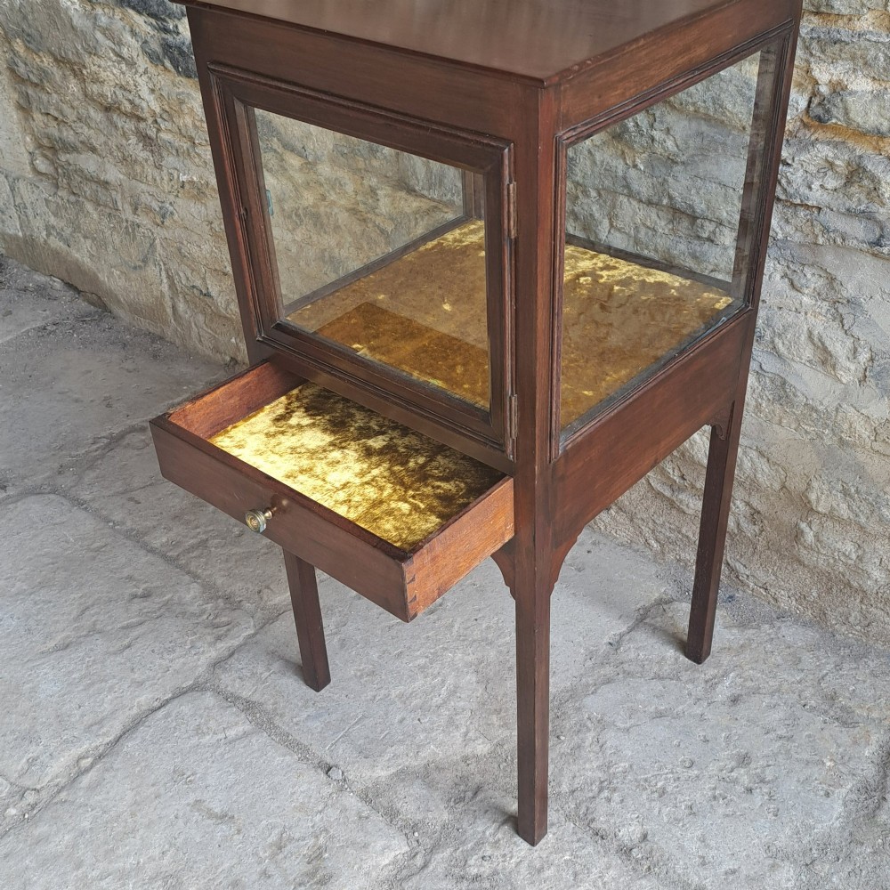 A Georgian mahogany standing display cabinet featuring a glass-enclosed upper section lined with gold fabric, a single lower drawer, and square tapered legs. View V