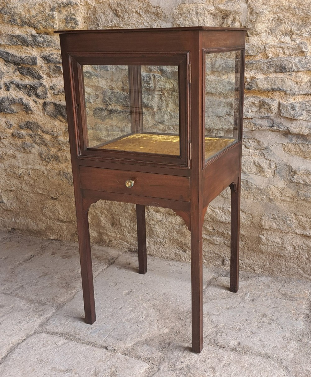A Georgian mahogany standing display cabinet featuring a glass-enclosed upper section lined with gold fabric, a single lower drawer, and square tapered legs. View VII