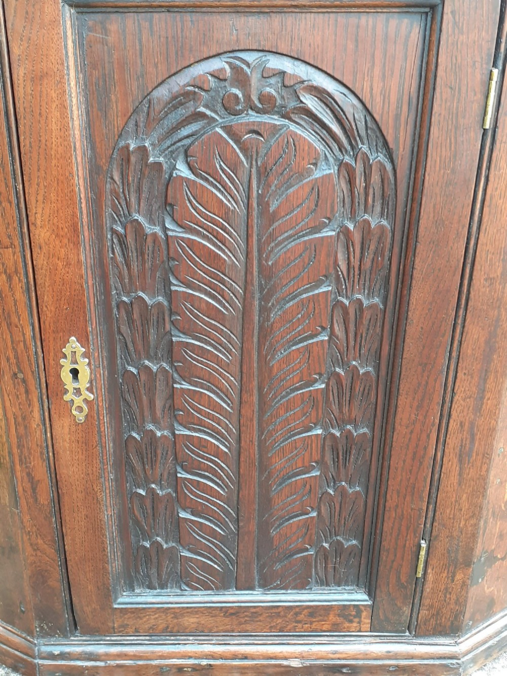 An 18th-century dark oak hanging corner cupboard featuring a single hand-carved foliate panel door and brass escutcheon. View II