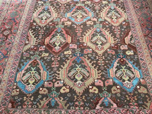 RARE ANTIQUE BAKSHAISH CARPET - ADDITIONAL PHOTO 8