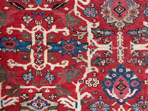 ANTIQUE MAHAL CARPET - ADDITIONAL PHOTO 6