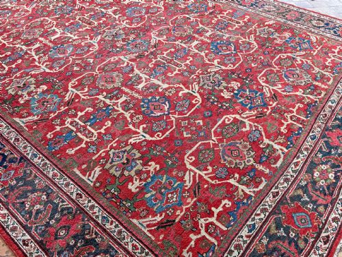 ANTIQUE MAHAL CARPET - ADDITIONAL PHOTO 8