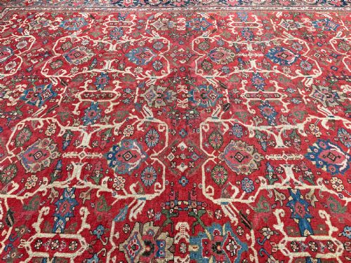 ANTIQUE MAHAL CARPET - ADDITIONAL PHOTO 9