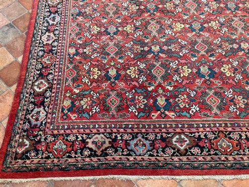 ANTIQUE MAHAL CARPET - ADDITIONAL PHOTO 5
