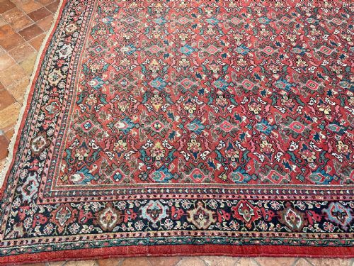 ANTIQUE MAHAL CARPET - ADDITIONAL PHOTO 7