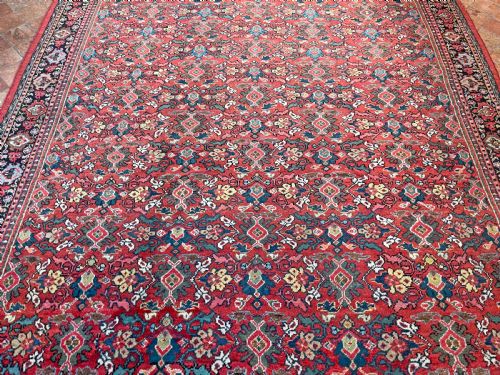 ANTIQUE MAHAL CARPET - ADDITIONAL PHOTO 8