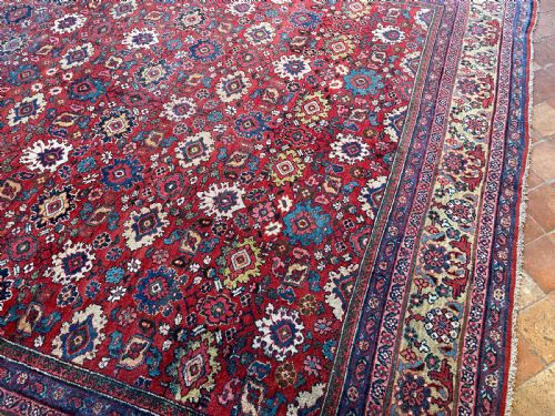ANTIQUE MAHAL CARPET - ADDITIONAL PHOTO 2
