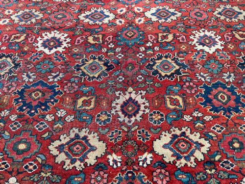 ANTIQUE MAHAL CARPET - ADDITIONAL PHOTO 6