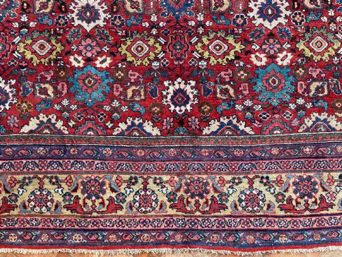 ANTIQUE MAHAL CARPET - ADDITIONAL PHOTO 7