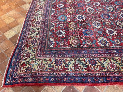 ANTIQUE MAHAL CARPET - ADDITIONAL PHOTO 8