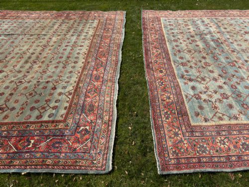 ANTIQUE MAHAL CARPET - ADDITIONAL PHOTO 15
