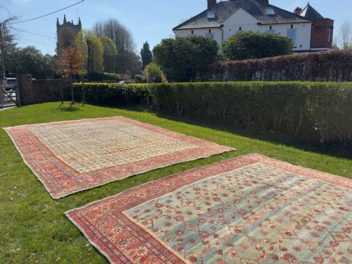 ANTIQUE MAHAL CARPET - ADDITIONAL PHOTO 17