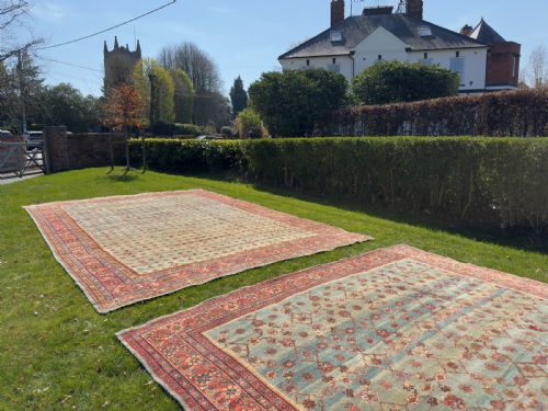 ANTIQUE MAHAL CARPET - ADDITIONAL PHOTO 13