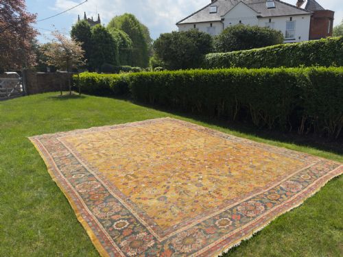 RARE ANTIQUE ZIEGLER CARPET