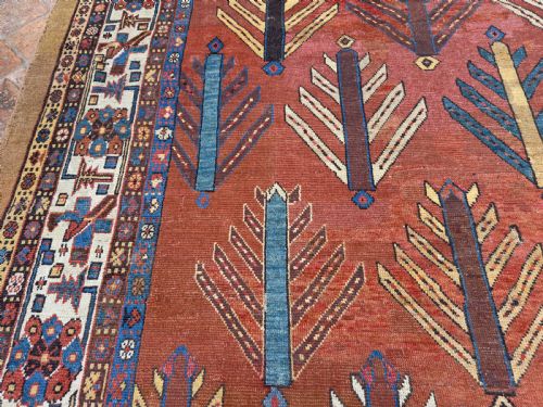 RARE ANTIQUE BAKSHAISH CARPET - ADDITIONAL PHOTO 8