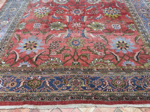 ANTIQUE ZIEGLER CARPET - ADDITIONAL PHOTO 3