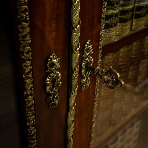 FRENCH NAPOLEON III GLAZED ORMOLU BOOKCASE - ADDITIONAL PHOTO 4