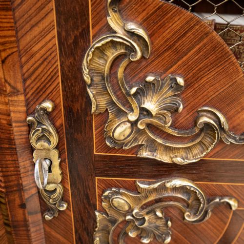 FRENCH LOUIS XV STYLE MESH DOOR BOOKCASE - ADDITIONAL PHOTO 5