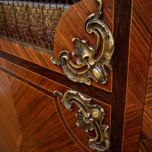FRENCH LOUIS XV STYLE MESH DOOR BOOKCASE - ADDITIONAL PHOTO 6