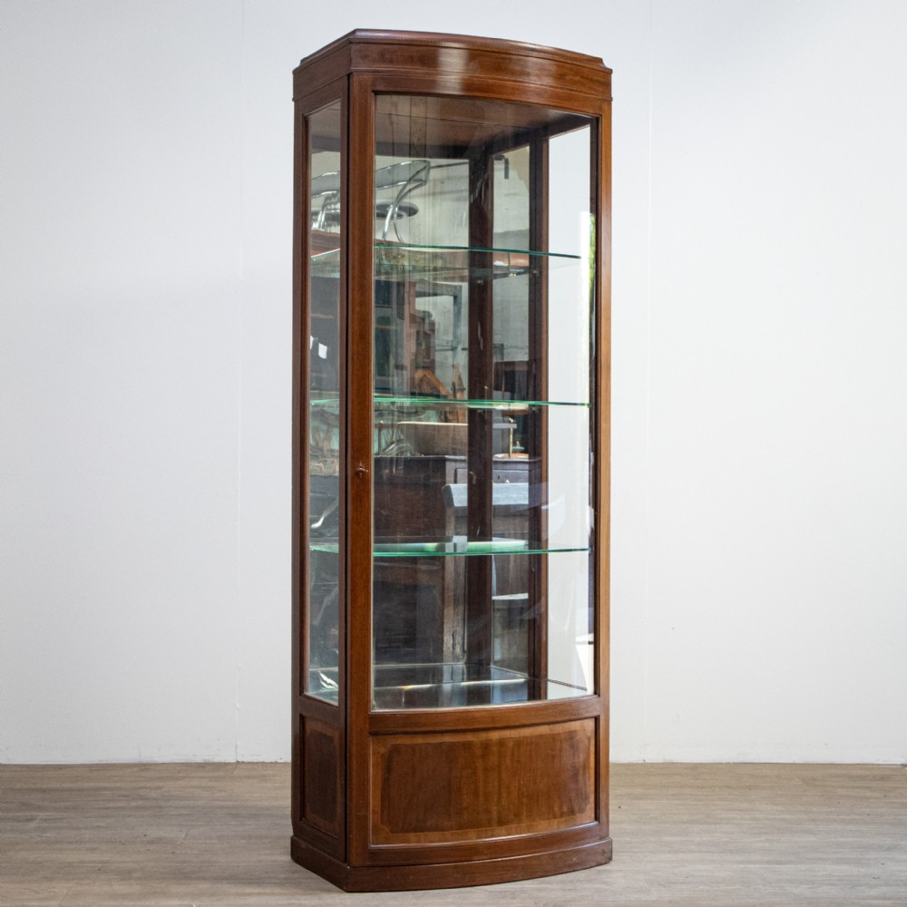 Edwardian Mahogany Bow Front Shop Cabinet with Satinwood Stringing