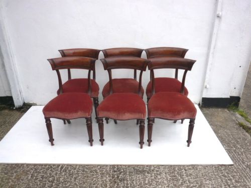 Set of 6 William IV Mahogany Dining Chairs