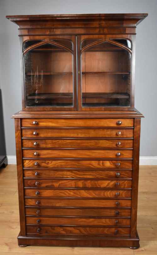 19th Century Victorian Mahogany Collectors Chest