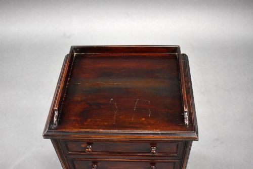 19TH CENTURY MAHOGANY COLLECTORS CHEST - ADDITIONAL PHOTO 2