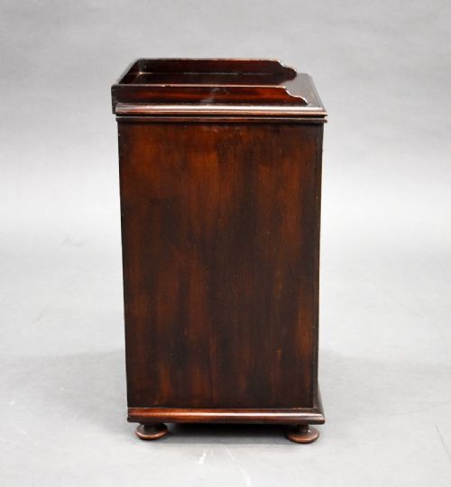 19TH CENTURY MAHOGANY COLLECTORS CHEST - ADDITIONAL PHOTO 4