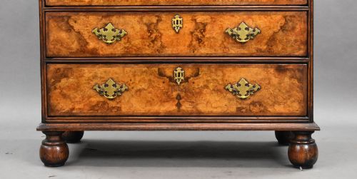 fig 5. 18th Century Burr Walnut Chest of Drawers