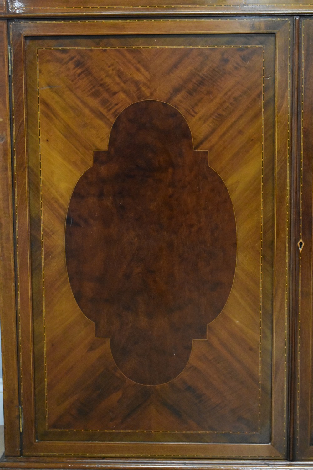 Edwardian Mahogany Bookcase View IV