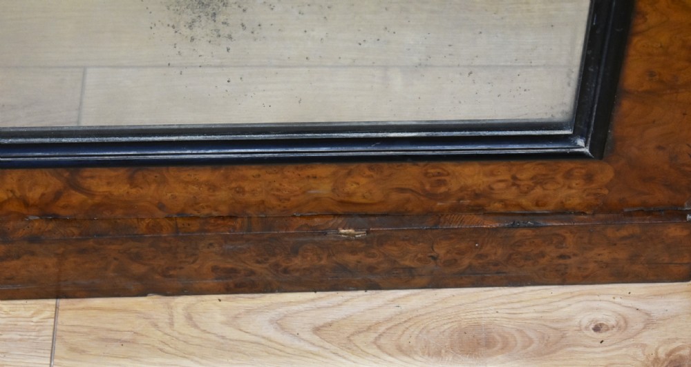 19th Century Victorian Burr Walnut Wardrobe View XIII