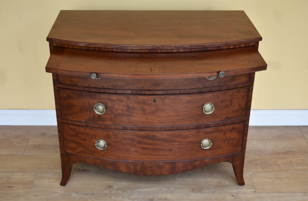 19th Century Regency Mahogany Bow Front Chest View III
