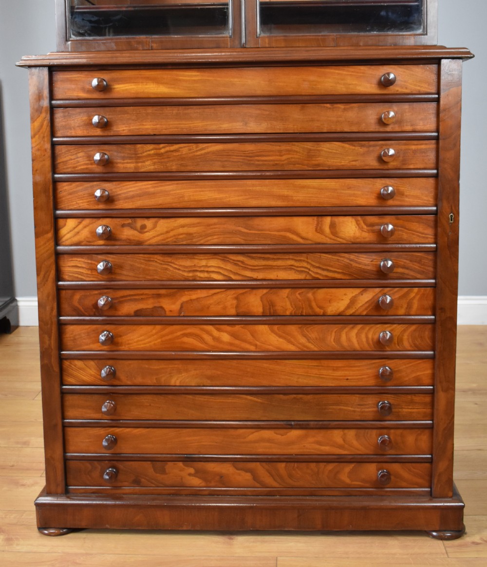19th Century Victorian Mahogany Collectors Chest View II