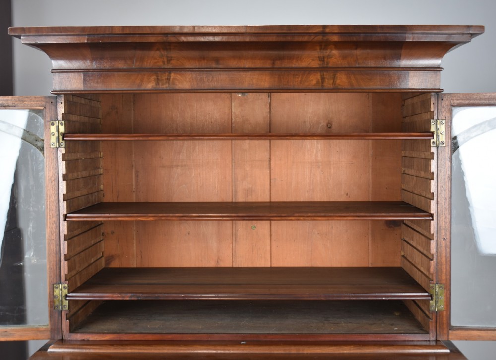 19th Century Victorian Mahogany Collectors Chest View III