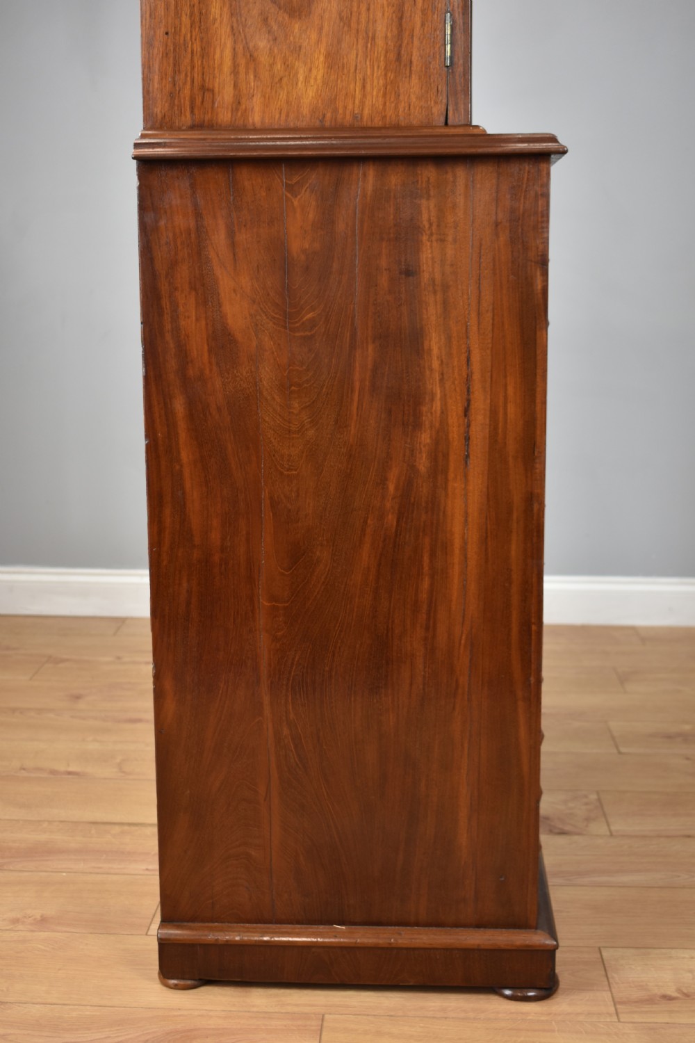 19th Century Victorian Mahogany Collectors Chest View V