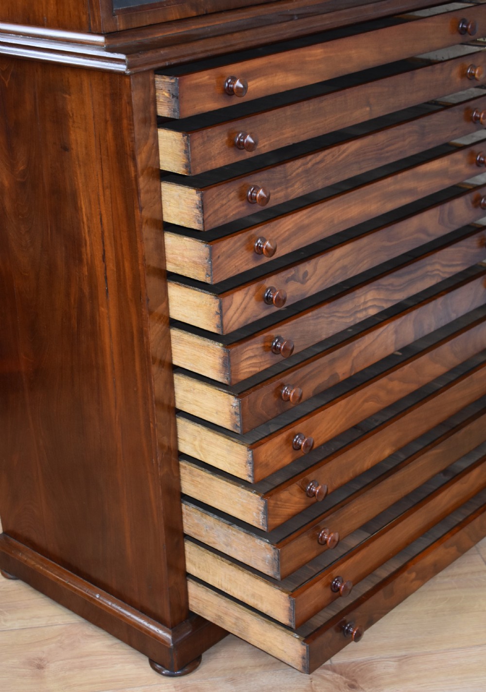 19th Century Victorian Mahogany Collectors Chest View X