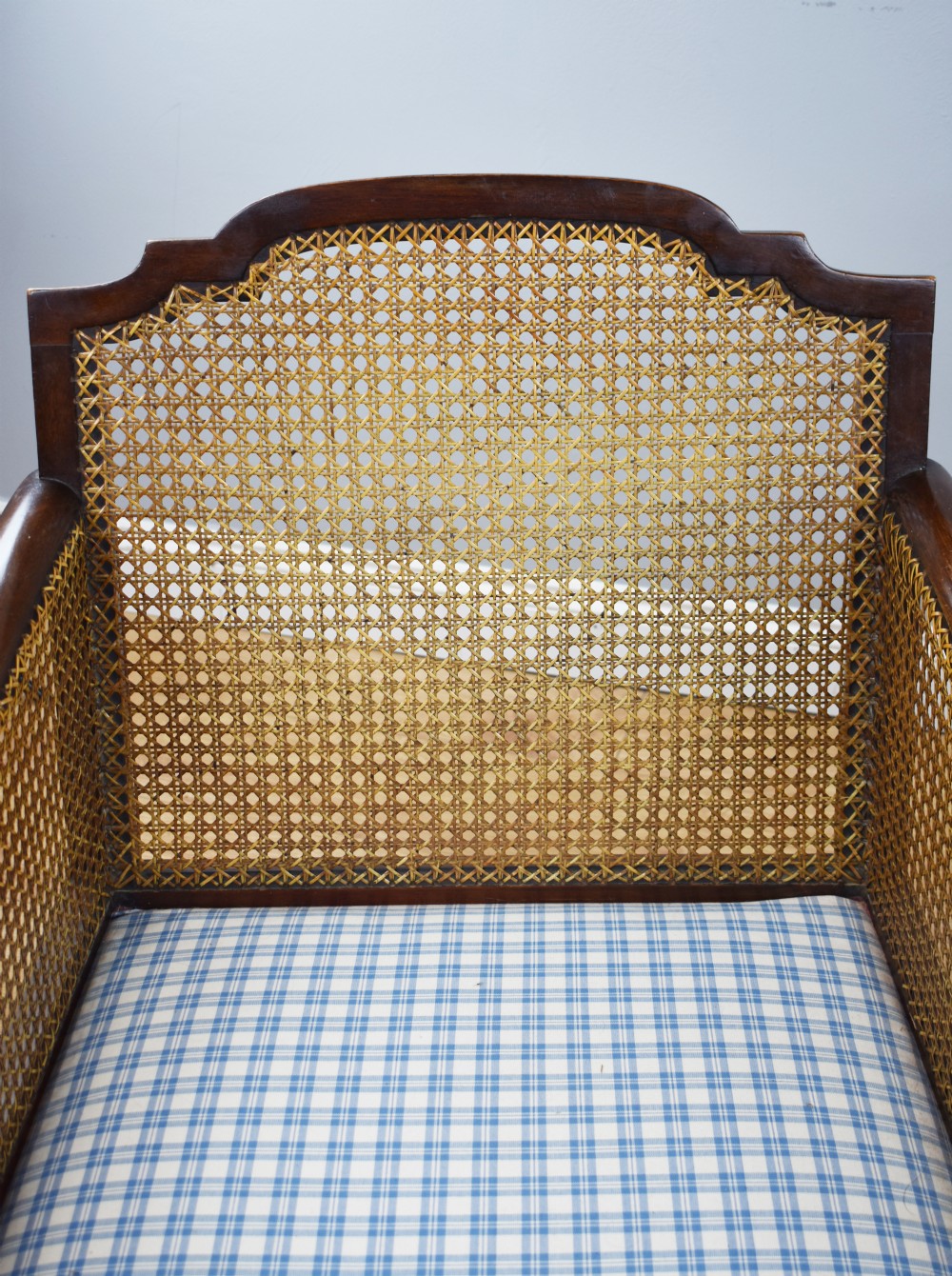 Early 20th Century Mahogany Three Piece Bergere Suite View VIII