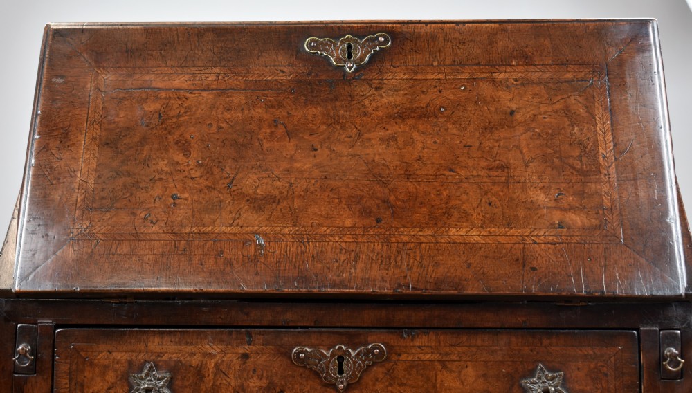Small 19th Century Burr Walnut Bureau View II