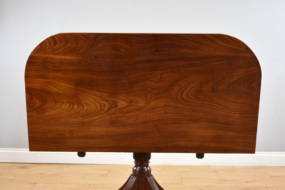 Regency Mahogany Pedestal Dining Table View VII