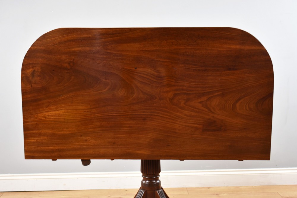 Regency Mahogany Pedestal Dining Table View IX