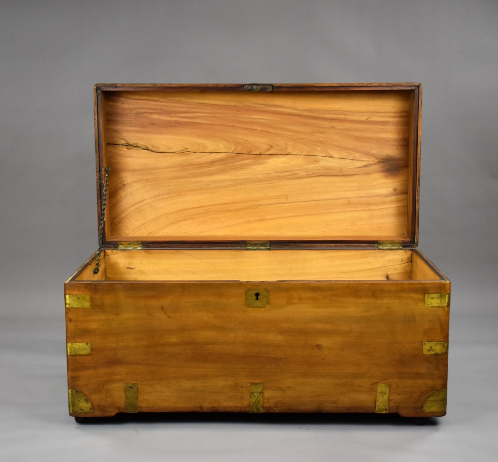 Victorian Camphor Wood Trunk View III
