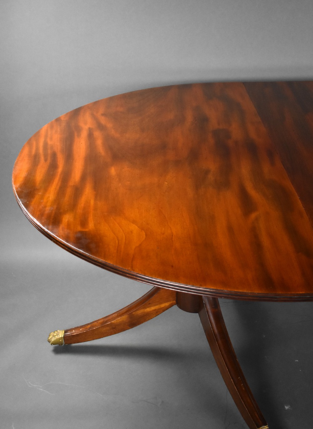 19th Century Mahogany Pedestal Dining Table View IV