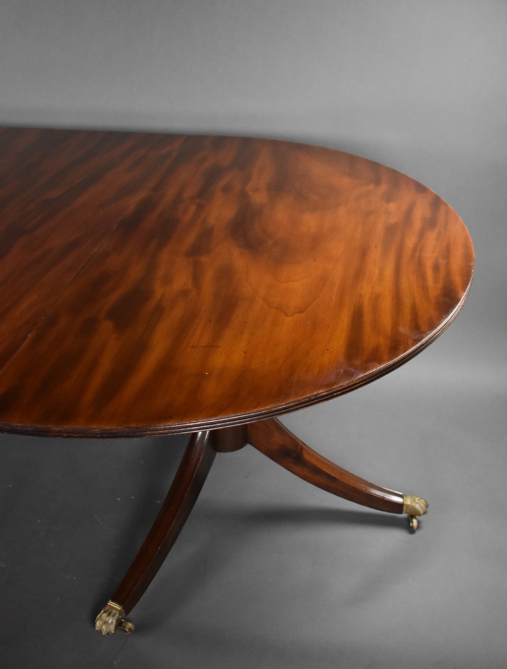 19th Century Mahogany Pedestal Dining Table View VI