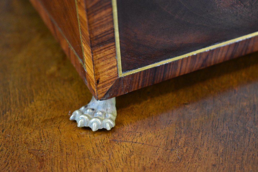 George III Mahogany Tea Caddy View XI