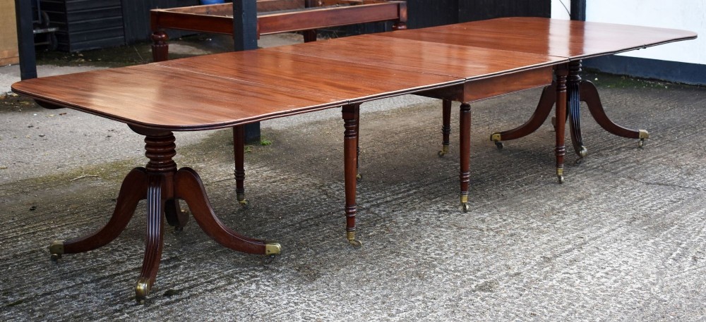 An extended Regency mahogany dining table with reeded pedestal legs, brass castors, and additional supporting legs.