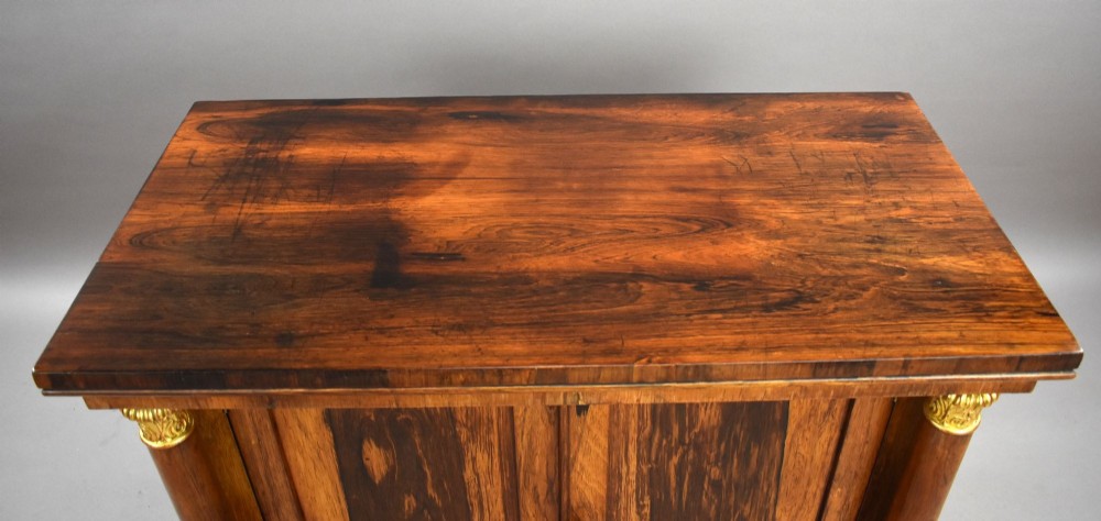 A 19th-century Regency rosewood side cabinet featuring two panelled doors, flanking column supports, and carved giltwood lion paw feet. View V