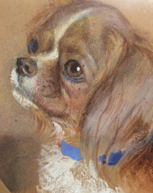 VICTORIAN WATERCOLOUR OF A KING CHARLES SPANIEL - ADDITIONAL PHOTO 1