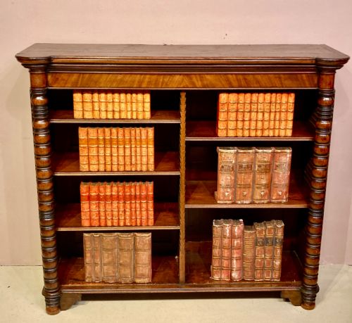 LATE GEORGIAN MAHOGANY BOOKSHELVES - ADDITIONAL PHOTO 5